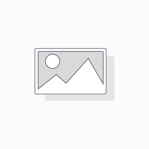 Paypal test